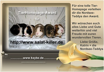 Nordsee-Teddy-Award